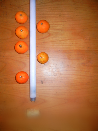 the arcane of banality series I